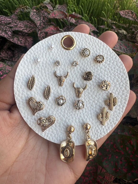 10 Pair Western Earring Set